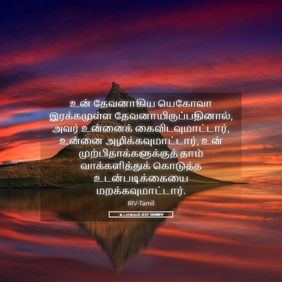 Picture 05 - உபாகமம் 4:31 TAMIRV - உன் தேவனாகிய - Bible Verse Picture