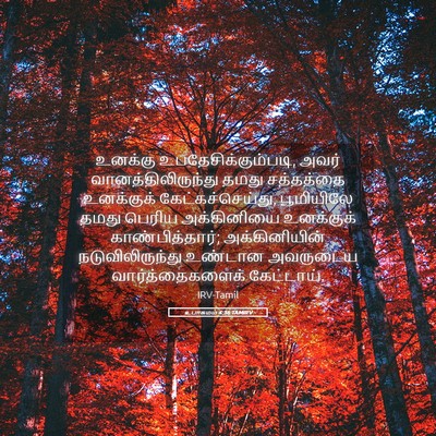 Picture 05 - உபாகமம் 4:36 TAMIRV - உனக்கு - Bible Verse Picture