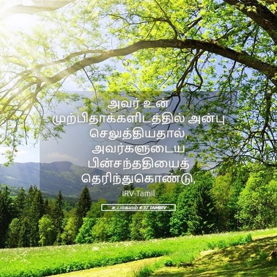 Picture 05 - உபாகமம் 4:37 TAMIRV - அவர் உன் - Bible Verse Picture