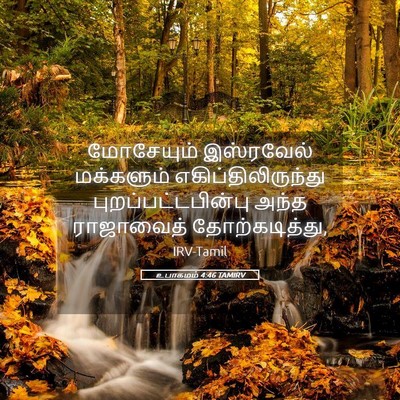 Picture 05 - உபாகமம் 4:46 TAMIRV - மோசேயும் இஸ்ரவேல் - Bible Verse Picture