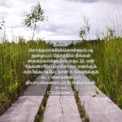 Picture 05 - உபாகமம் 4:5 TAMIRV - நீங்கள் - Bible Verse Picture