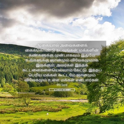 Picture 05 - உபாகமம் 4:6 TAMIRV - ஆகையால் அவைகளைக் - Bible Verse Picture