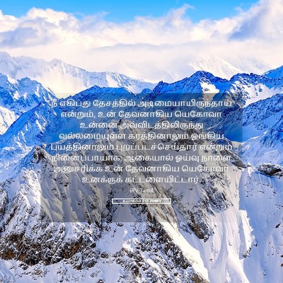 Picture 05 - உபாகமம் 5:15 TAMIRV - நீ எகிப்து - Bible Verse Picture