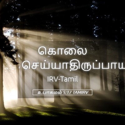 Picture 05 - உபாகமம் 5:17 TAMIRV - கொலை - Bible Verse Picture