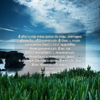Picture 05 - உபாகமம் 6:11 TAMIRV - நீ நிரப்பாத சகல - Bible Verse Picture