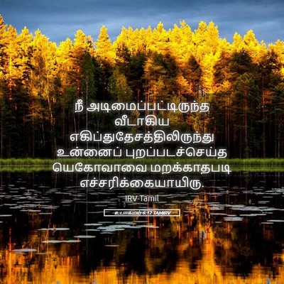 Picture 05 - உபாகமம் 6:12 TAMIRV - நீ - Bible Verse Picture