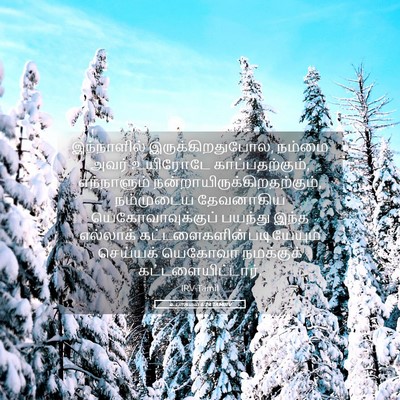Picture 05 - உபாகமம் 6:24 TAMIRV - இந்நாளில் - Bible Verse Picture