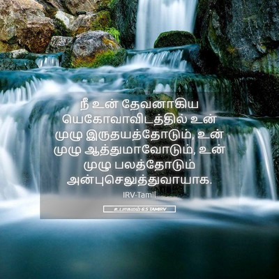 Picture 05 - உபாகமம் 6:5 TAMIRV - நீ உன் தேவனாகிய - Bible Verse Picture
