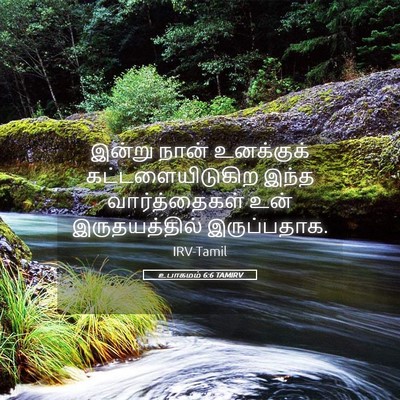 Picture 05 - உபாகமம் 6:6 TAMIRV - இன்று நான் - Bible Verse Picture