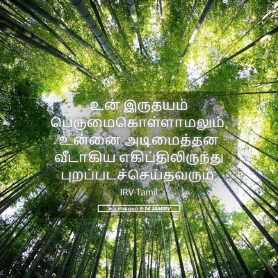 Picture 05 - உபாகமம் 8:14 TAMIRV - உன் இருதயம் - Bible Verse Picture