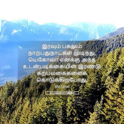 Picture 05 - உபாகமம் 9:11 TAMIRV - இரவும் பகலும் - Bible Verse Picture