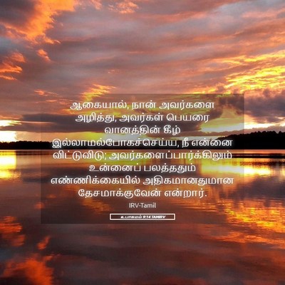 Picture 05 - உபாகமம் 9:14 TAMIRV - ஆகையால், நான் - Bible Verse Picture