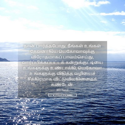 Picture 05 - உபாகமம் 9:16 TAMIRV - நான் பார்த்தபோது, - Bible Verse Picture