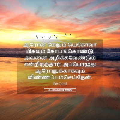 Picture 05 - உபாகமம் 9:20 TAMIRV - ஆரோன் மேலும் - Bible Verse Picture