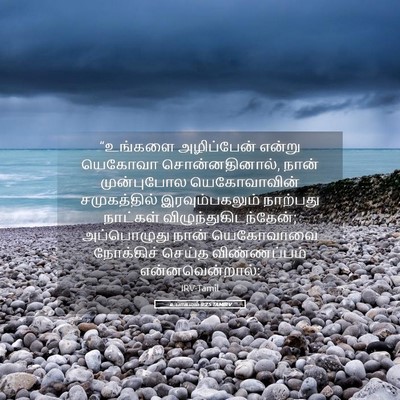 Picture 05 - உபாகமம் 9:25 TAMIRV - “உங்களை அழிப்பேன் - Bible Verse Picture