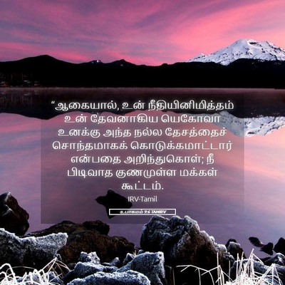 Picture 05 - உபாகமம் 9:6 TAMIRV - “ஆகையால், உன் - Bible Verse Picture