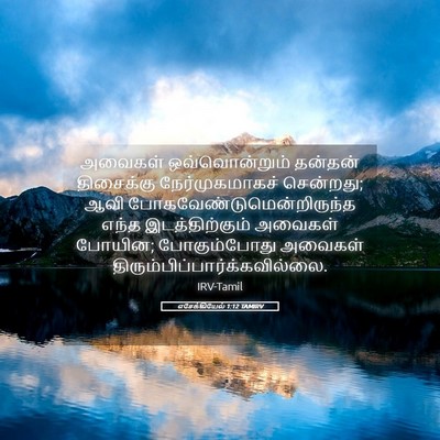 Picture 05 - எசேக்கியேல் 1:12 TAMIRV - அவைகள் - Bible Verse Picture
