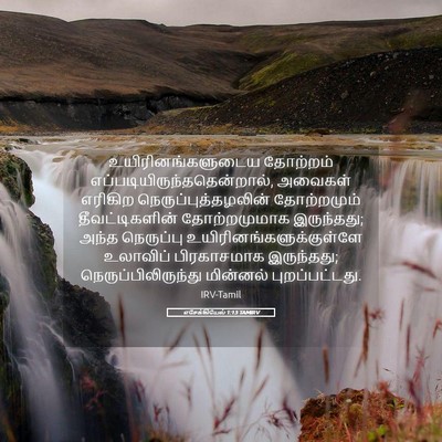 Picture 05 - எசேக்கியேல் 1:13 TAMIRV - உயிரினங்களுடைய - Bible Verse Picture