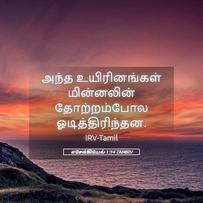 Picture 05 - எசேக்கியேல் 1:14 TAMIRV - அந்த உயிரினங்கள் - Bible Verse Picture