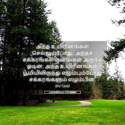 Picture 05 - எசேக்கியேல் 1:19 TAMIRV - அந்த உயிரினங்கள் - Bible Verse Picture