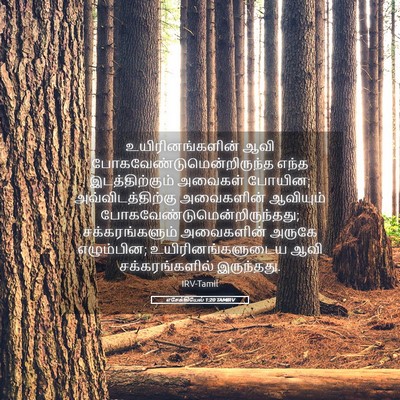 Picture 05 - எசேக்கியேல் 1:20 TAMIRV - உயிரினங்களின் ஆவி - Bible Verse Picture