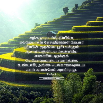Picture 05 - எசேக்கியேல் 1:3 TAMIRV - அந்த - Bible Verse Picture