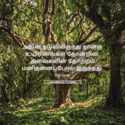Picture 05 - எசேக்கியேல் 1:5 TAMIRV - அதின் - Bible Verse Picture