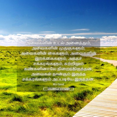 Picture 05 - எசேக்கியேல் 10:12 TAMIRV - அவைகளின் உடல் - Bible Verse Picture