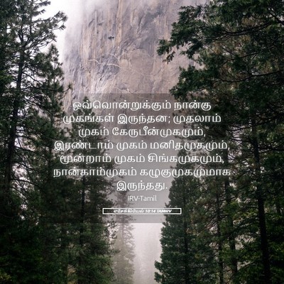 Picture 05 - எசேக்கியேல் 10:14 TAMIRV - ஒவ்வொன்றுக்கும் - Bible Verse Picture
