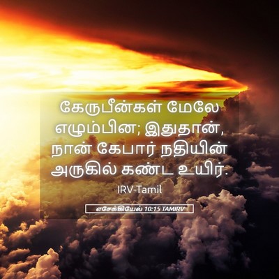 Picture 05 - எசேக்கியேல் 10:15 TAMIRV - கேருபீன்கள் மேலே - Bible Verse Picture