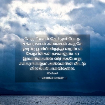 Picture 05 - எசேக்கியேல் 10:16 TAMIRV - கேருபீன்கள் - Bible Verse Picture