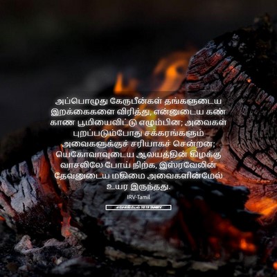 Picture 05 - எசேக்கியேல் 10:19 TAMIRV - அப்பொழுது - Bible Verse Picture