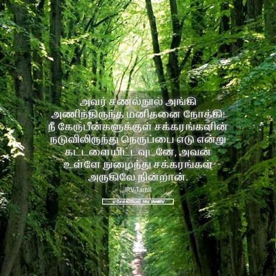 Picture 05 - எசேக்கியேல் 10:6 TAMIRV - அவர் சணல்நூல் - Bible Verse Picture
