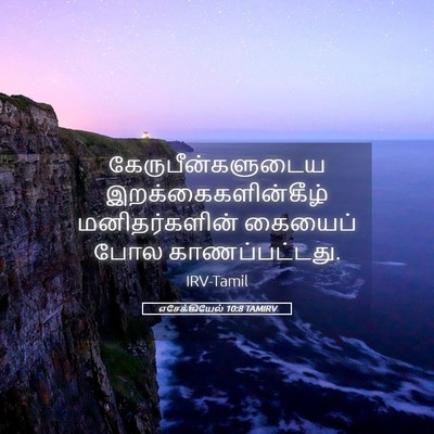 Picture 05 - எசேக்கியேல் 10:8 TAMIRV - கேருபீன்களுடைய - Bible Verse Picture