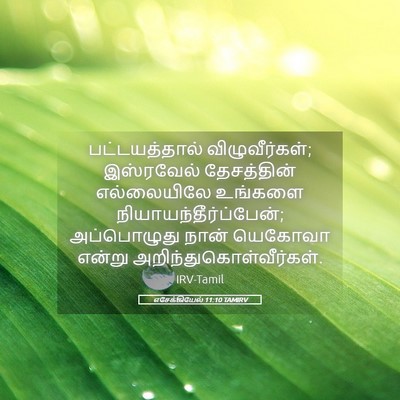 Picture 05 - எசேக்கியேல் 11:10 TAMIRV - பட்டயத்தால் - Bible Verse Picture