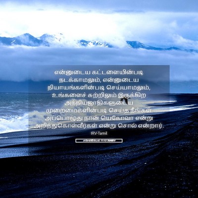 Picture 05 - எசேக்கியேல் 11:12 TAMIRV - என்னுடைய - Bible Verse Picture