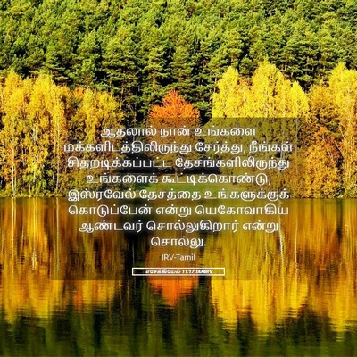 Picture 05 - எசேக்கியேல் 11:17 TAMIRV - ஆதலால் நான் - Bible Verse Picture