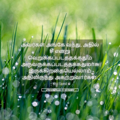 Picture 05 - எசேக்கியேல் 11:18 TAMIRV - அவர்கள் அங்கே - Bible Verse Picture