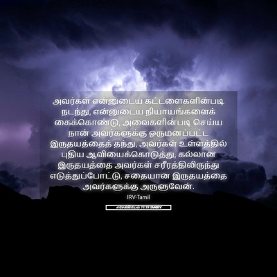 Picture 05 - எசேக்கியேல் 11:19 TAMIRV - அவர்கள் என்னுடைய - Bible Verse Picture