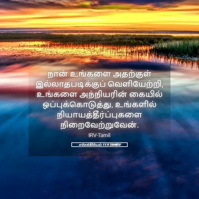 Picture 05 - எசேக்கியேல் 11:9 TAMIRV - நான் உங்களை - Bible Verse Picture