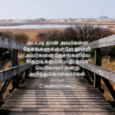 Picture 05 - எசேக்கியேல் 12:15 TAMIRV - அப்படி நான் - Bible Verse Picture