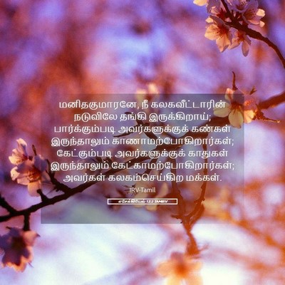 Picture 05 - எசேக்கியேல் 12:2 TAMIRV - மனிதகுமாரனே, நீ - Bible Verse Picture