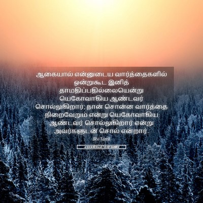 Picture 05 - எசேக்கியேல் 12:28 TAMIRV - ஆகையால் என்னுடைய - Bible Verse Picture