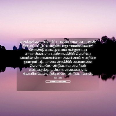 Picture 05 - எசேக்கியேல் 12:7 TAMIRV - எனக்குக் - Bible Verse Picture