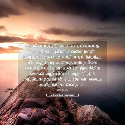 Picture 05 - எசேக்கியேல் 13:14 TAMIRV - அப்பொழுது நீங்கள் - Bible Verse Picture
