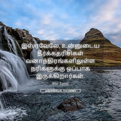 Picture 05 - எசேக்கியேல் 13:4 TAMIRV - இஸ்ரவேலே, - Bible Verse Picture