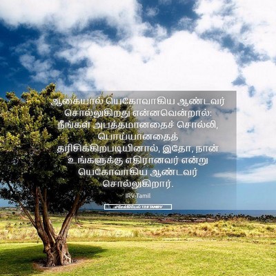 Picture 05 - எசேக்கியேல் 13:8 TAMIRV - ஆகையால் யெகோவாகிய - Bible Verse Picture