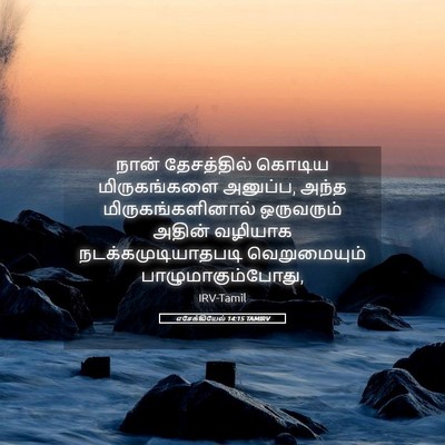 Picture 05 - எசேக்கியேல் 14:15 TAMIRV - நான் தேசத்தில் - Bible Verse Picture