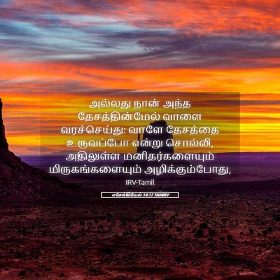 Picture 05 - எசேக்கியேல் 14:17 TAMIRV - அல்லது நான் அந்த - Bible Verse Picture