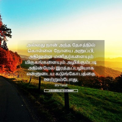 Picture 05 - எசேக்கியேல் 14:19 TAMIRV - அல்லது நான் அந்த - Bible Verse Picture